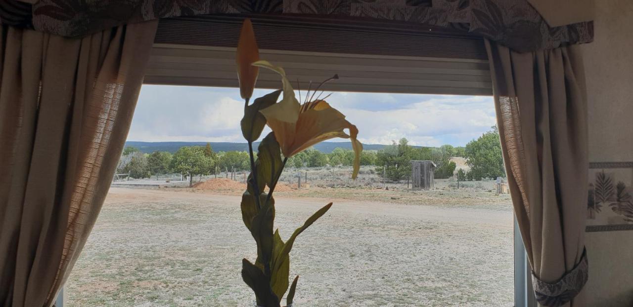 مبيت وإفطار Ramah Mountain Harmony Retreat المظهر الخارجي الصورة
